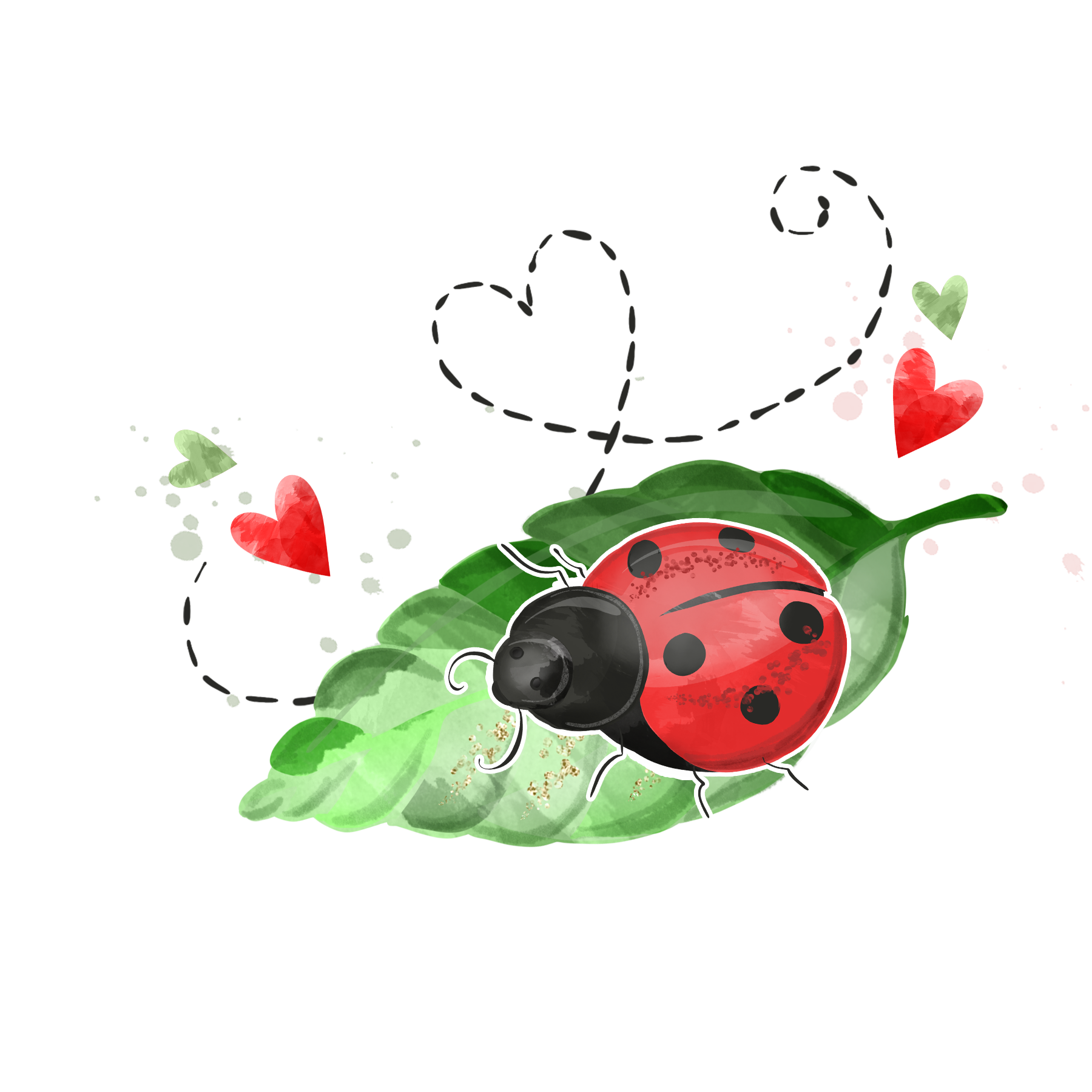 Ladybird Lane